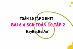 Bài 6.4 SGK Toán 10 tập 2 Kết nối tri thức